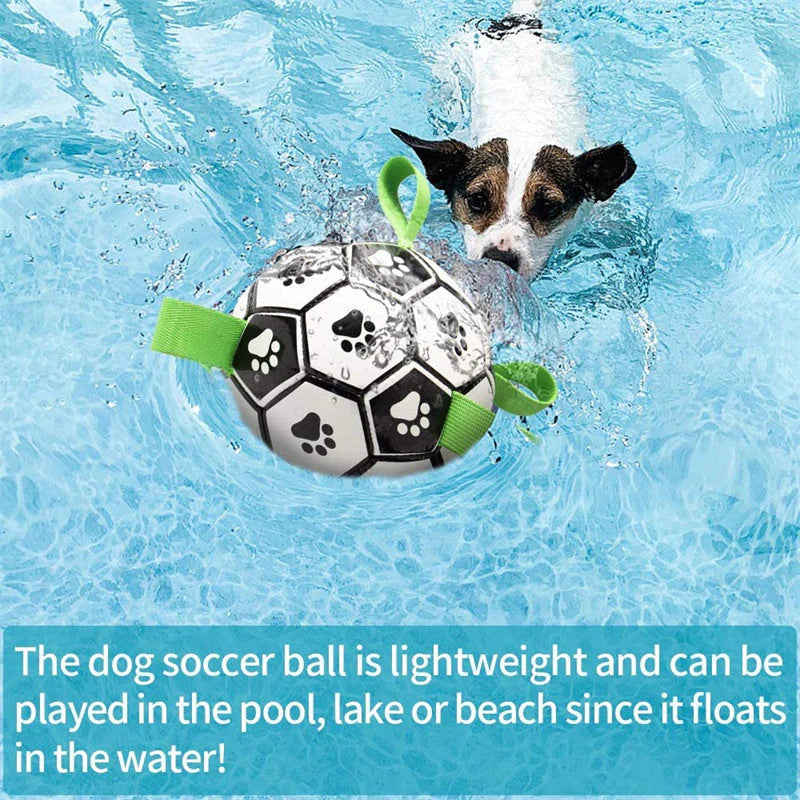 PawPlay™ - Soccer Ball For Dogs
