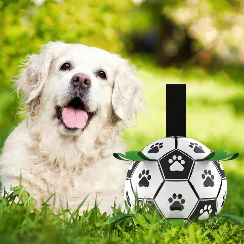 PawPlay™ - Soccer Ball For Dogs
